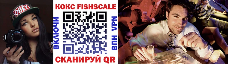 где найти Заводоуковск COCAIN Fish Scale
