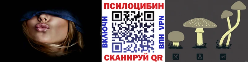 Псилоцибиновые грибы Cubensis  купить  цена  блэк спрут зеркало  Заводоуковск 